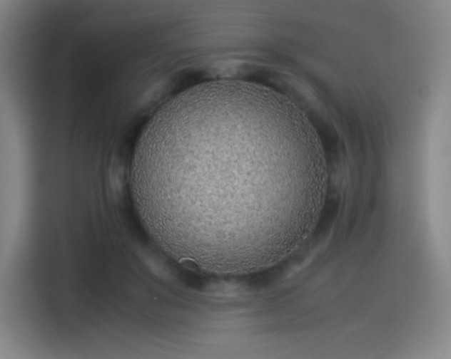 X0000114220503200910161310