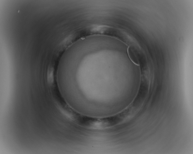 X0000114220504200910161310