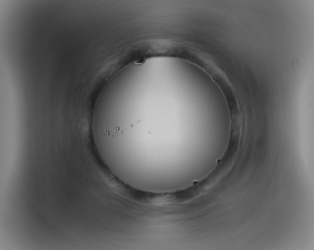 X0000114220505200910161310