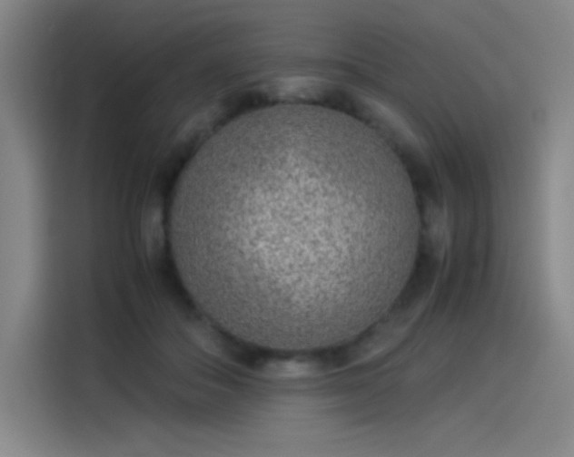 X0000114220506200910161310