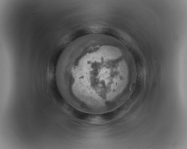 X0000114220507200910161310