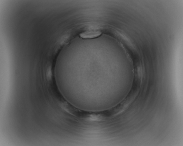 X0000114220508200910161310