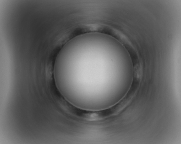 X0000114220509200910161310