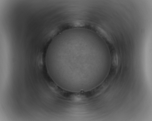 X0000114220512200910161310