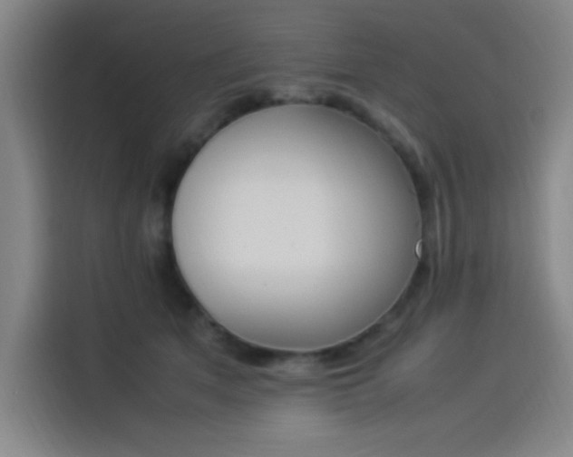 X0000114220513200910161310