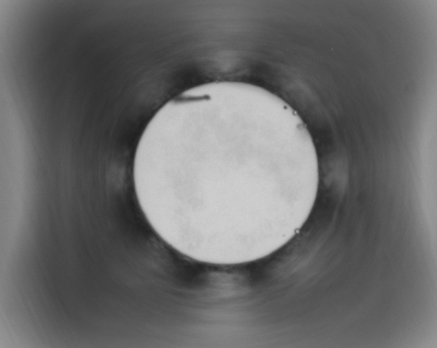 X0000114220515200910161310