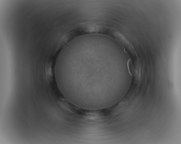 X0000114220516200910161310