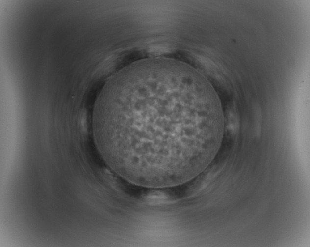 X0000114220519200910161310