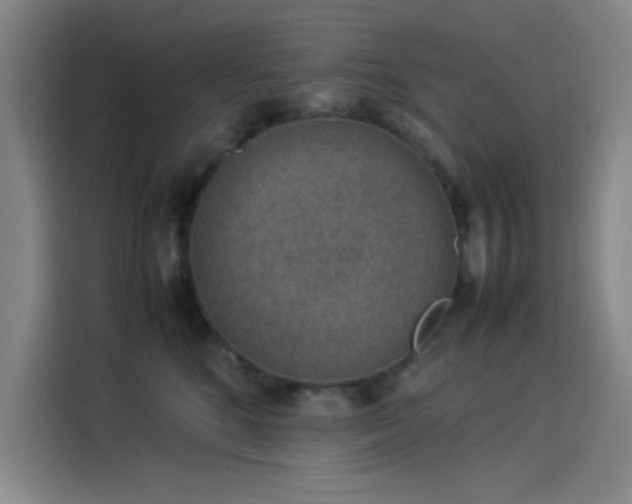 X0000114220520200910161310