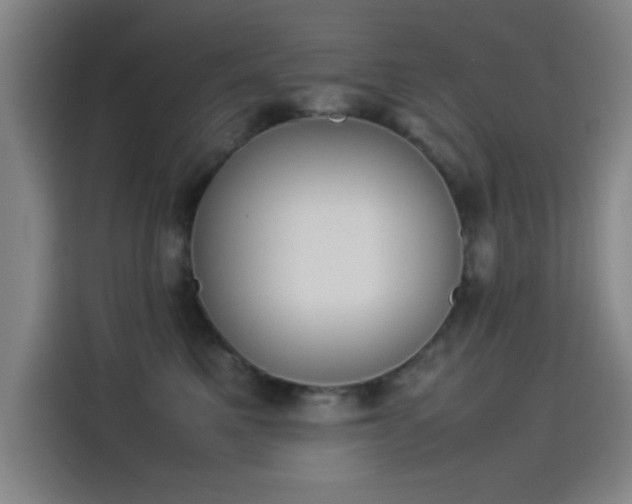 X0000114220521200910161310