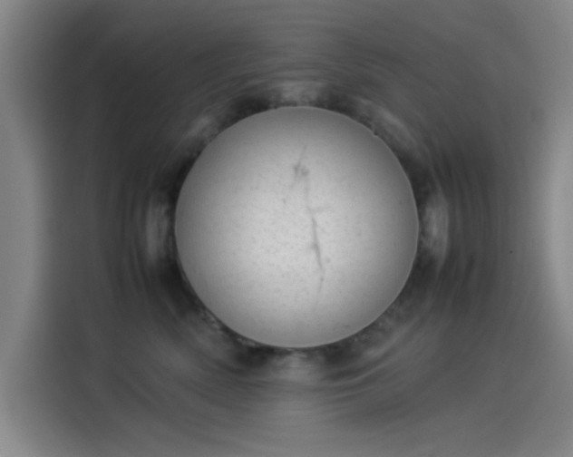 X0000114220522200910161310