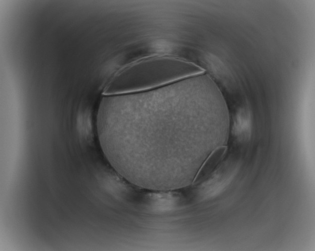 X0000114220524200910161310