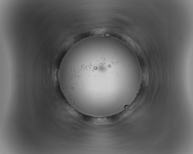 X0000114220525200910161310