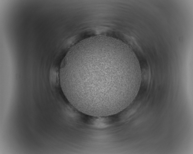 X0000114220527200910161310