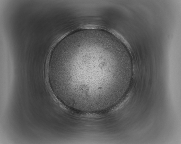 X0000114220529200910161309