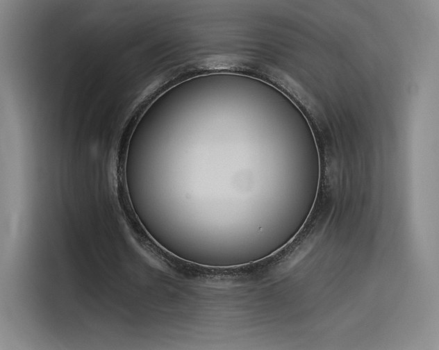 X0000114220530200910161309