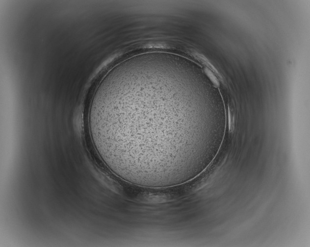 X0000114220531200910161309