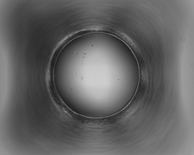 X0000114220532200910161309