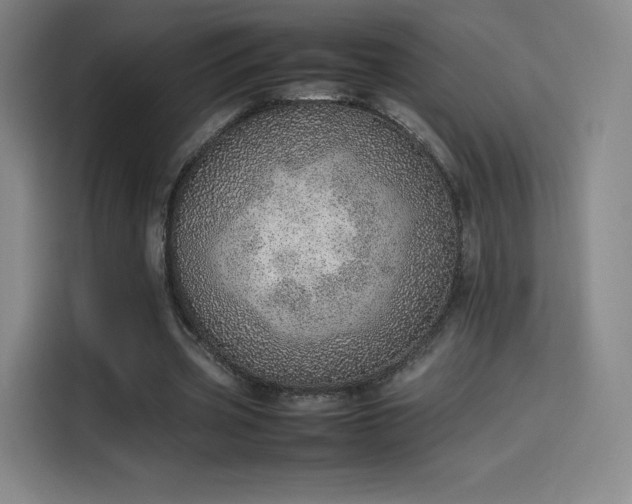 X0000114220533200910161309