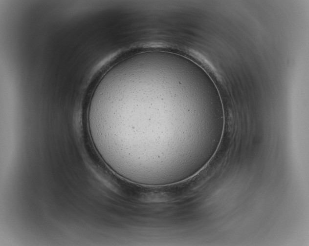 X0000114220535200910161309