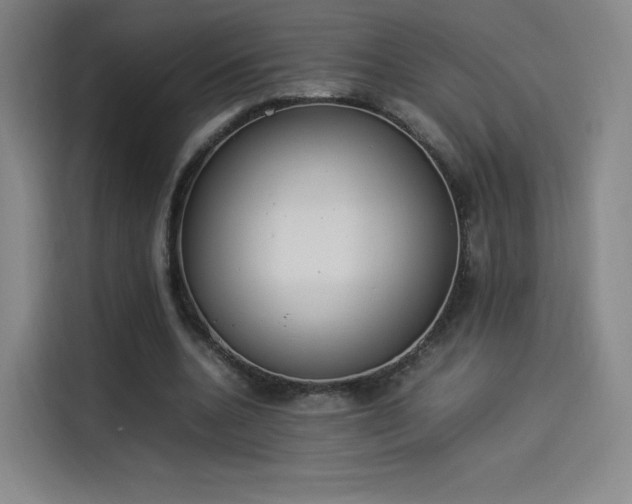 X0000114220536200910161309