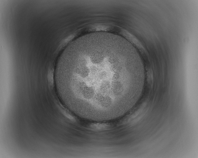 X0000114220537200910161309