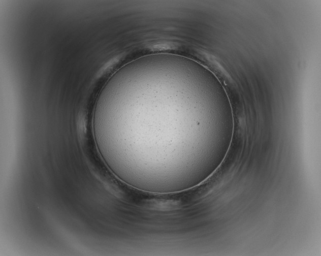 X0000114220539200910161309