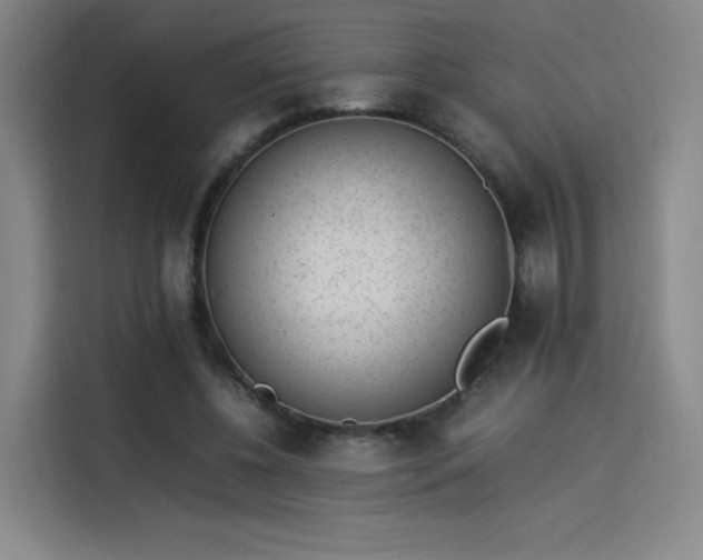 X0000114220540200910161309