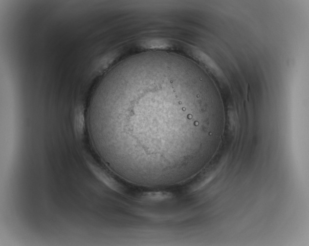 X0000114220541200910161309