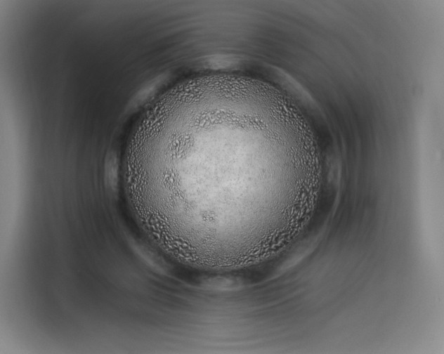 X0000114220542200910161309