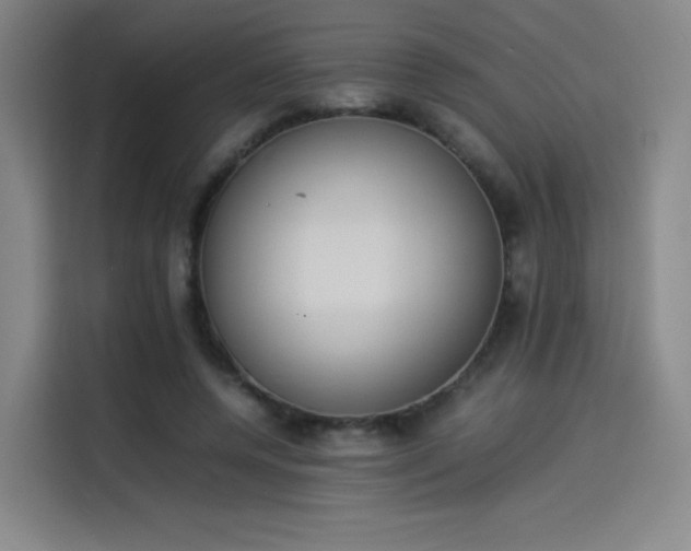 X0000114220544200910161309