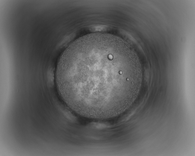 X0000114220545200910161309