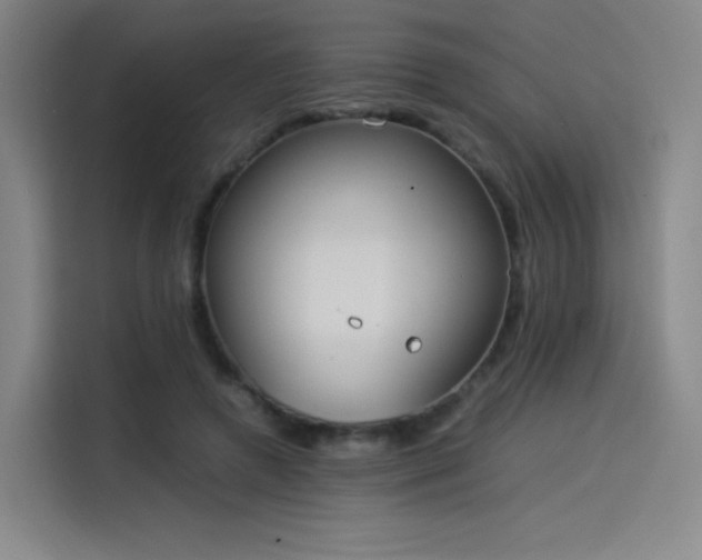 X0000114220546200910161309