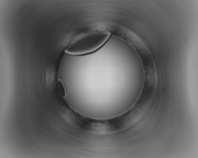 X0000114220548200910161309