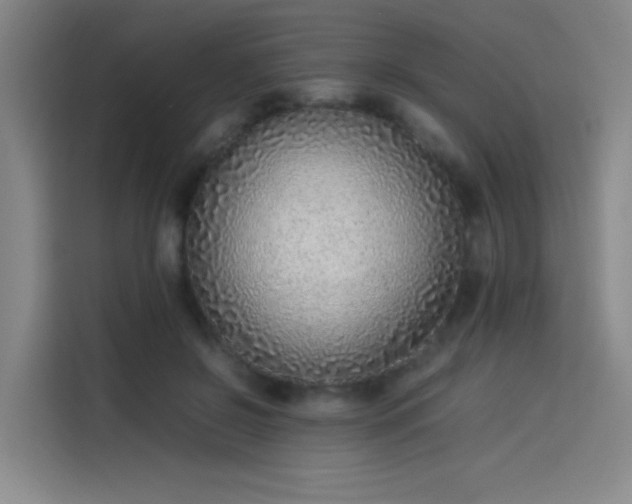 X0000114220550200910161309