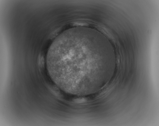 X0000114220551200910161309