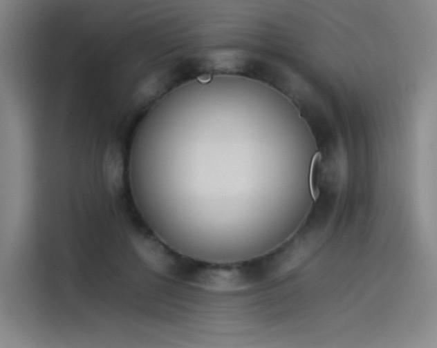 X0000114220552200910161309