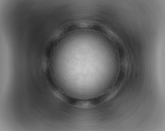 X0000114220554200910161310