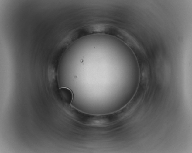 X0000114220555200910161310