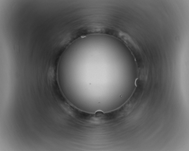 X0000114220560200910161310