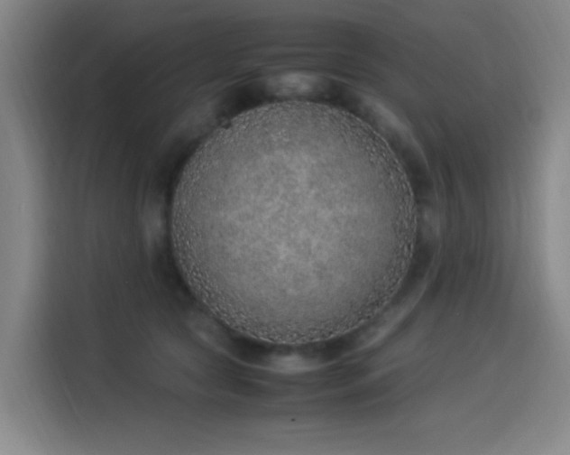 X0000114220561200910161310