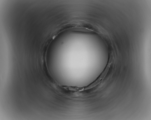 X0000114220562200910161310