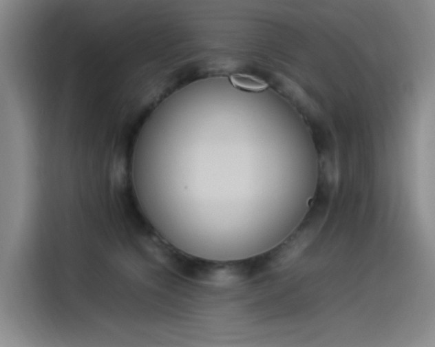 X0000114220564200910161310