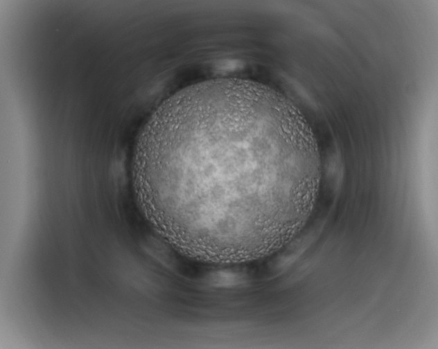 X0000114220565200910161310