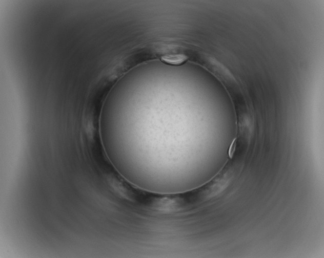 X0000114220566200910161310