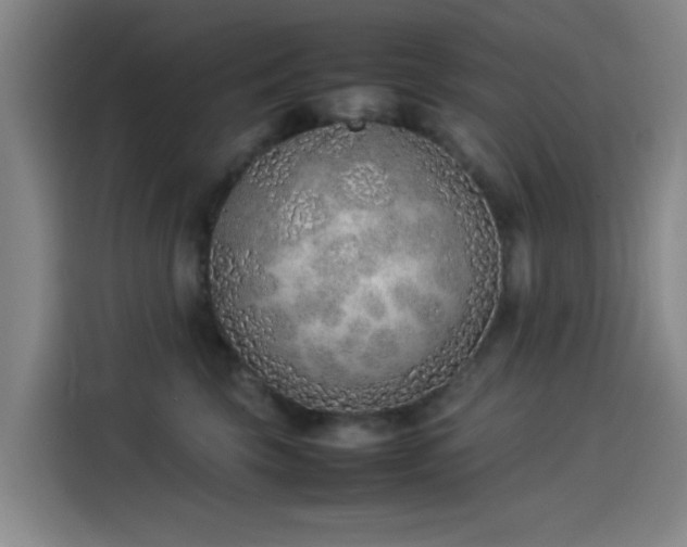 X0000114220569200910161310