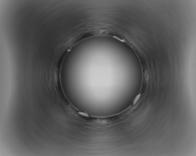 X0000114220570200910161310