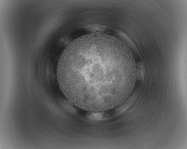 X0000114220573200910161310