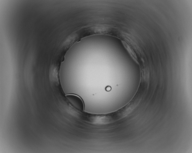 X0000114220575200910161310