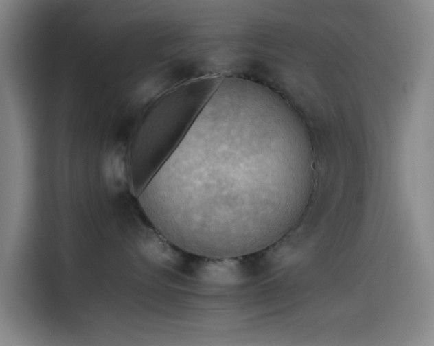 X0000114220576200910161310